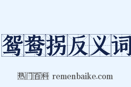 鸳鸯拐反义词是什么意思的图片